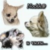 nochka